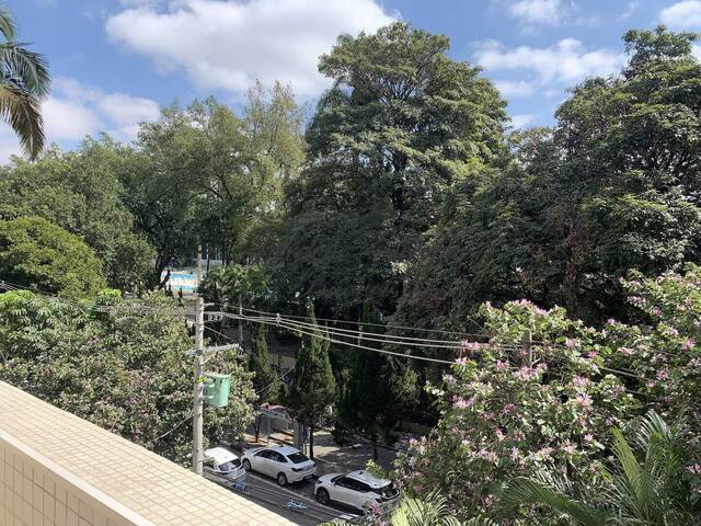 #1068 - Apartamento para Locação em São Paulo - SP - 2
