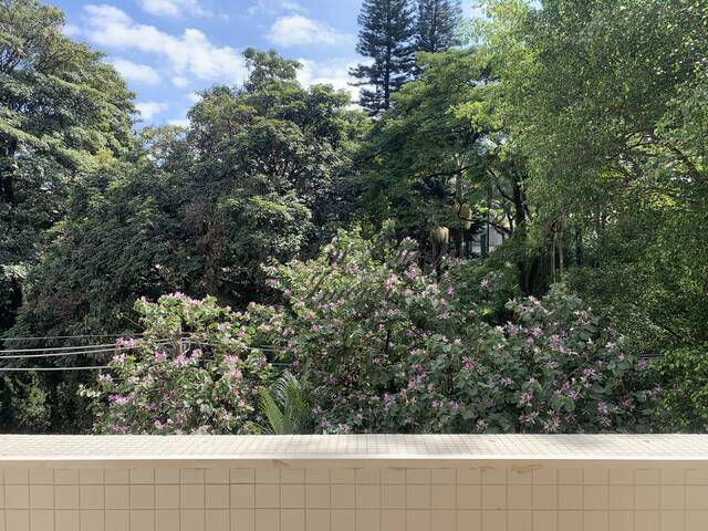 Locação em Jardim Europa - São Paulo