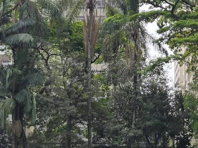 #1126 - Apartamento para Venda em São Paulo - SP - 3