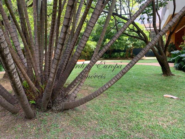 #1156 - Apartamento para Venda em São Paulo - SP - 3