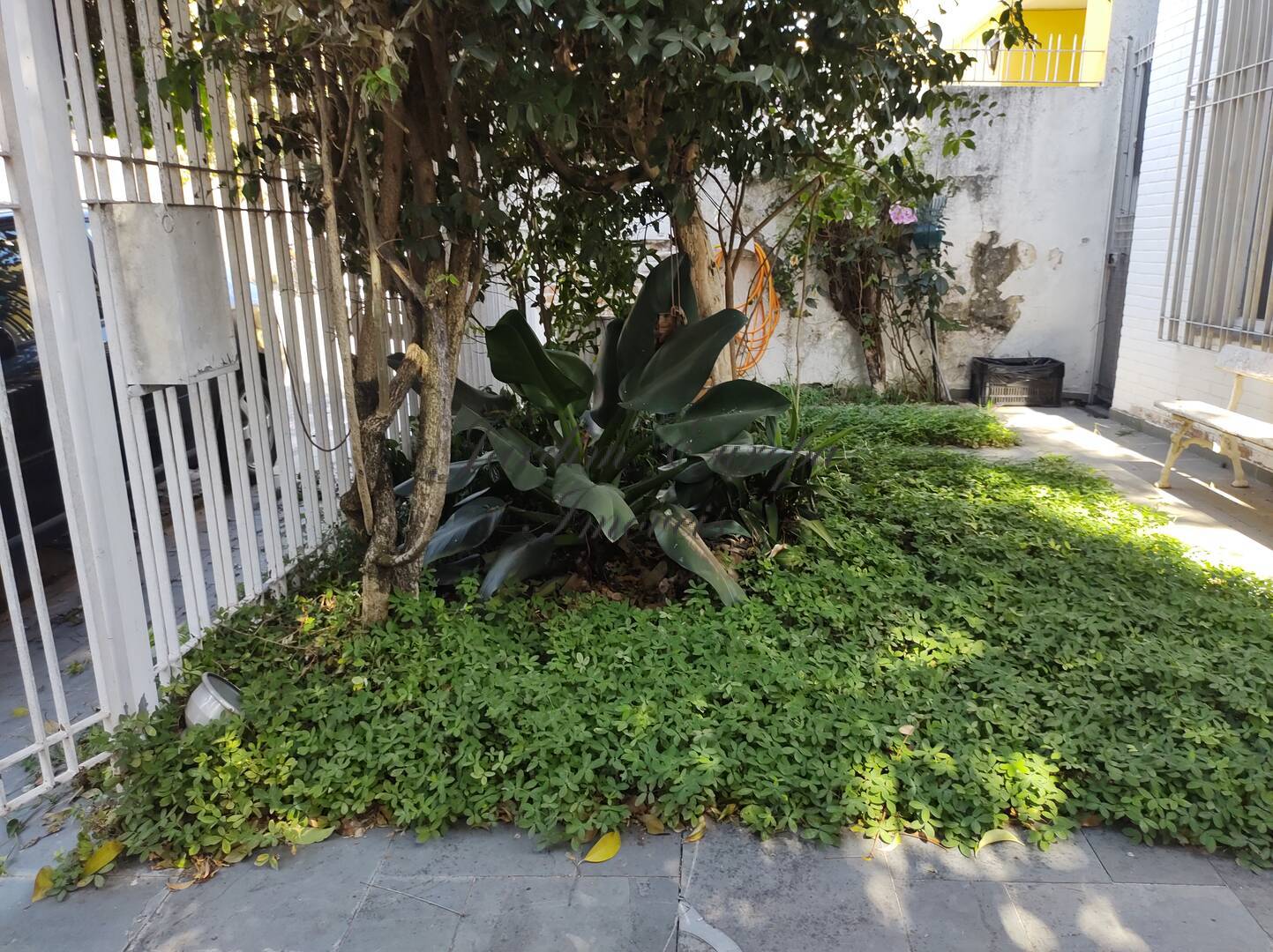 Casa para alugar com 3 quartos, 143m² - Foto 35