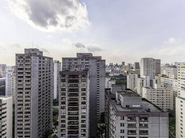 Apartamento, 4 quartos, 465 m² - Foto 9