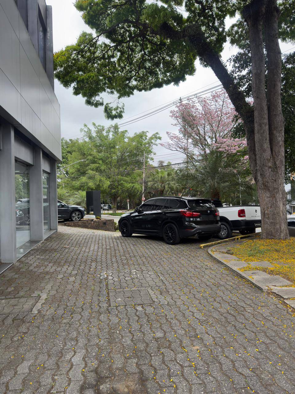 Prédio Inteiro, 535 m² - Foto 4