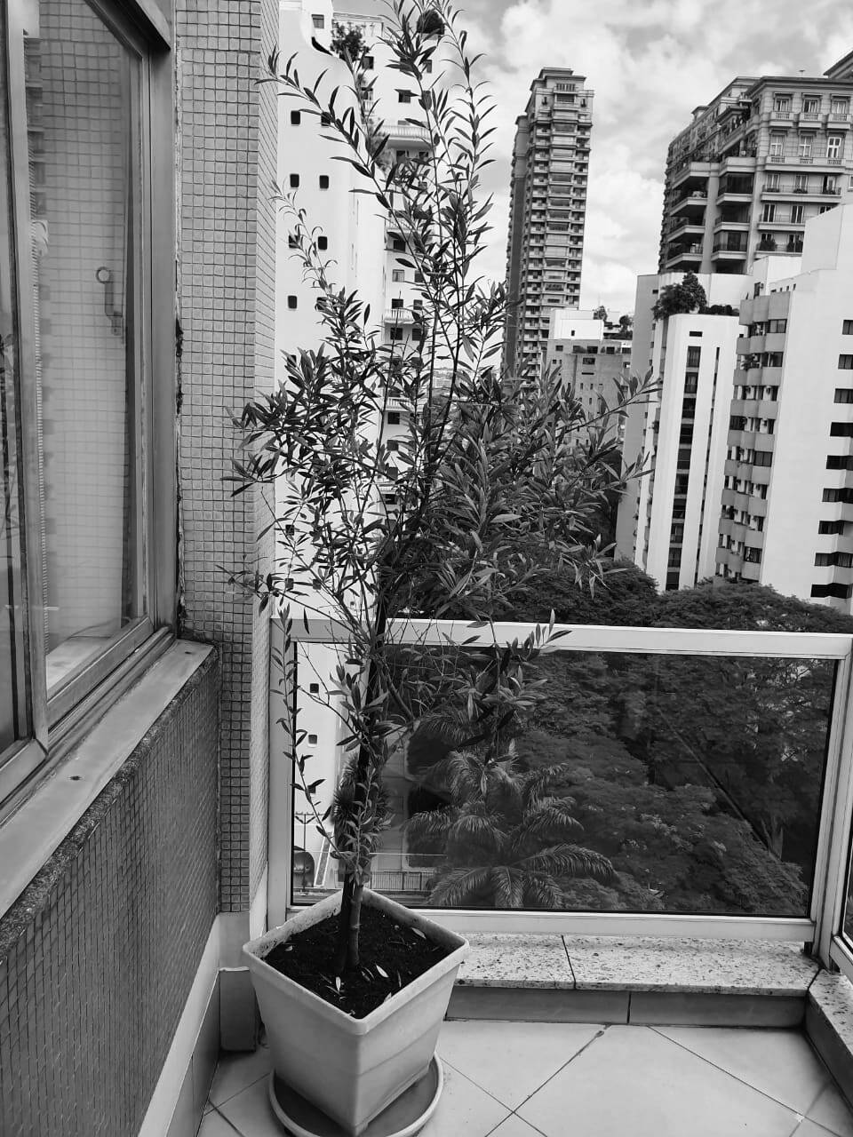 Cobertura, 2 quartos, 160 m² - Foto 4