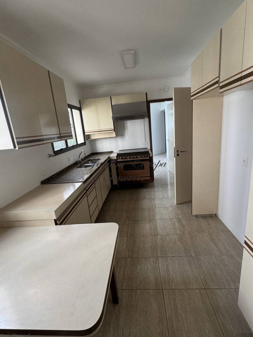 Apartamento, 4 quartos, 196 m² - Foto 54